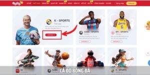 cá độ bóng đá